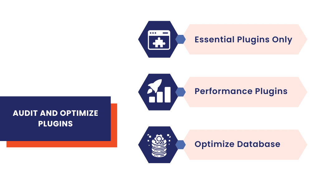 Audit and Optimize Plugins