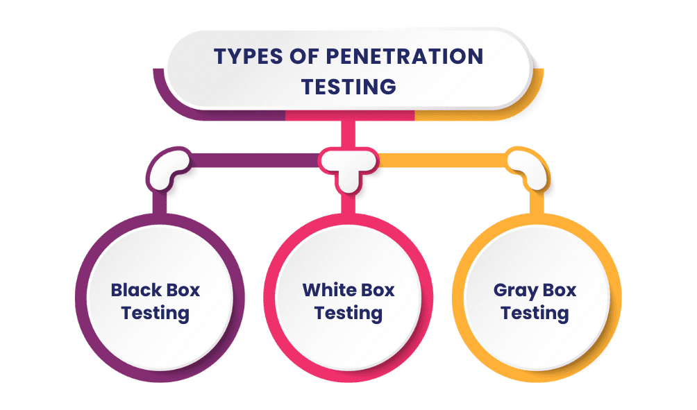 Types of Penetration Testing